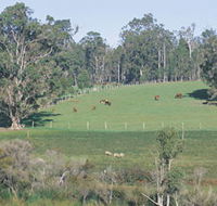 Scenic Drives - Bunbury Collie Donnybrook - eAccommodation