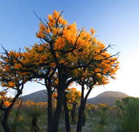 Cape Le Grand National Park - eAccommodation