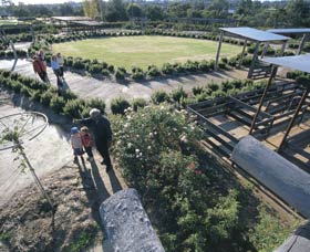 Kojonup Rose Maze - eAccommodation 0