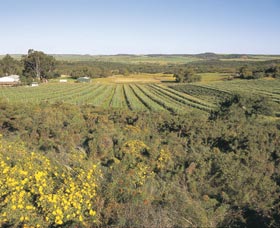 Chapman Valley Scenic Drive - eAccommodation 0