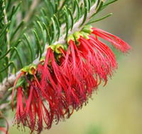 Ethel Daw Scenic Drive - eAccommodation