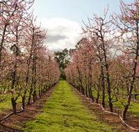 Raeburn Orchards - eAccommodation