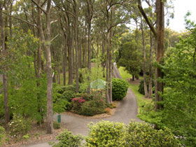Mount Lofty Botanic Garden - eAccommodation 0
