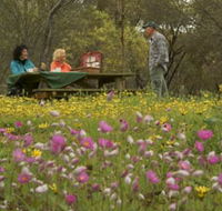 Gwambygine Park - eAccommodation