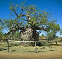 Pigeon Heritage Trail - eAccommodation