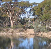 Merredin Railway Dam - eAccommodation