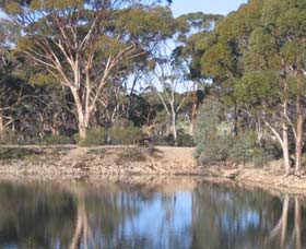 Merredin Railway Dam - eAccommodation 0