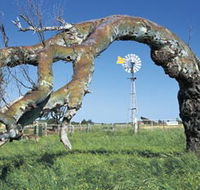 Greenough Leaning Trees - eAccommodation