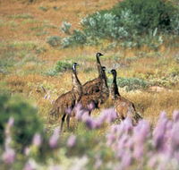 Jurabi Coastal Reserve - eAccommodation