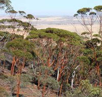 Mount Matilda Walk Trail Wongan Hills - eAccommodation