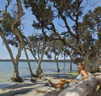 Stokes National Park - eAccommodation