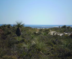 Lesueur National Park - eAccommodation 0