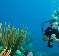 Coastal Water Dive - eAccommodation