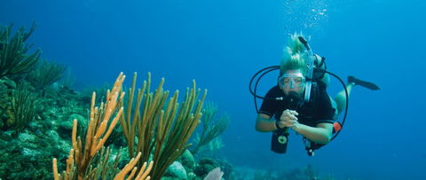 Coastal Water Dive - eAccommodation 0