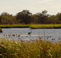 Anytime Adventures in Mandurah  the Peel Region - eAccommodation
