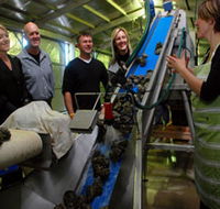 Eyre Peninsula's Seafood Trail - eAccommodation