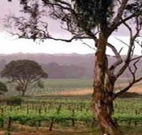 Yangarra Estate Vineyard - eAccommodation