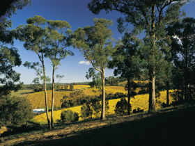 Lobethal Archives And Historical Museum - eAccommodation 0