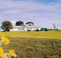 Lucindale Country Club - eAccommodation