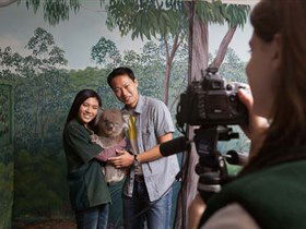 Cleland Wildlife Park - eAccommodation 0