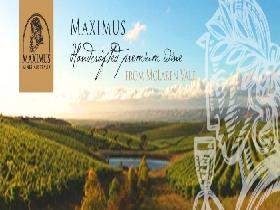 Maximus Wines Australia - eAccommodation 0