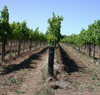 Temple Bruer Winery - eAccommodation