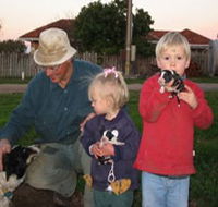 Orrie Cowie Merino and Poll Merino Stud - eAccommodation
