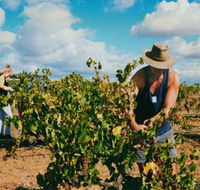 Torbreck Vintners - eAccommodation
