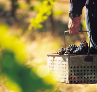 Burge Family Winemakers - eAccommodation