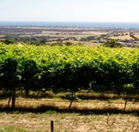 Braydun Hill Vineyard - eAccommodation