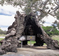 The Herbig Family Tree - eAccommodation