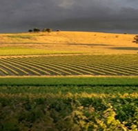 Kellermeister Wines - eAccommodation