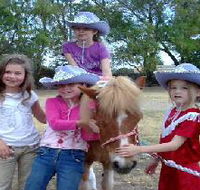 Amberainbow Pony Rides - eAccommodation