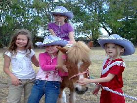 Amberainbow Pony Rides - eAccommodation 0