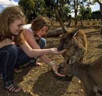 Kangaroo Island Wildlife Park - eAccommodation