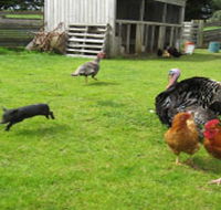 Echo Farm - eAccommodation