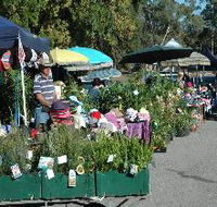 Meadows Monthly Market - eAccommodation