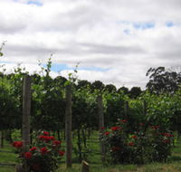 Manyara Vineyard - eAccommodation
