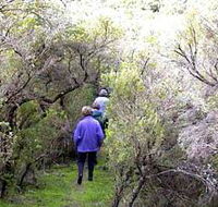 Jack And Hilda McArthur Walk - eAccommodation