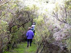 Jack And Hilda McArthur Walk - eAccommodation 0