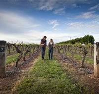 Coonawarra Wineries Walking Trail - eAccommodation