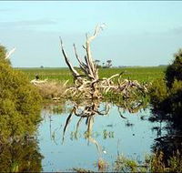 Bool Lagoon Game Reserve and Hacks Lagoon Conservation Park - eAccommodation