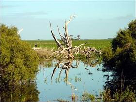 Bool Lagoon Game Reserve And Hacks Lagoon Conservation Park - eAccommodation 0