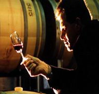 Salena Estate Wines - eAccommodation