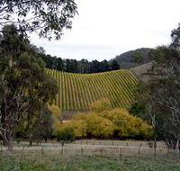 Mt Bera Vineyards - eAccommodation
