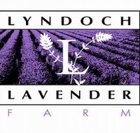 Lyndoch Lavender Farm and Cafe - eAccommodation