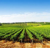 Aldinga Bay Winery - eAccommodation