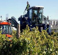 Ballast Stone Estate Wines Pty Ltd - eAccommodation