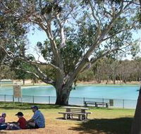 Naracoorte Nature Park and Swimming Lake - eAccommodation