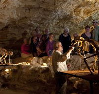 Naracoorte Caves National Park - eAccommodation